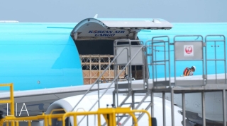 Canadian horses arriving at Kansai International Airport.