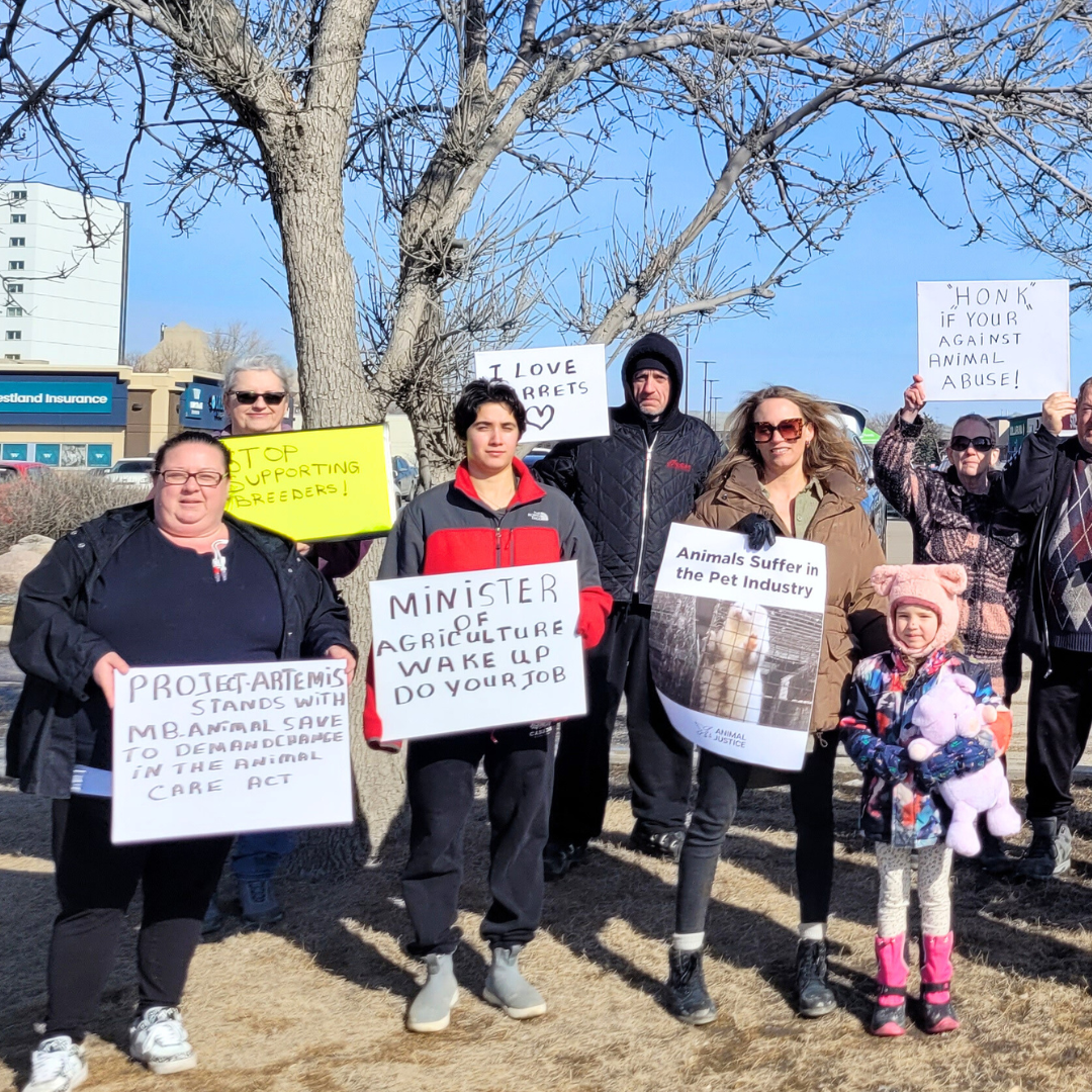 7 activists holding various signs stand on a patch of grass near a Winnipeg Petland