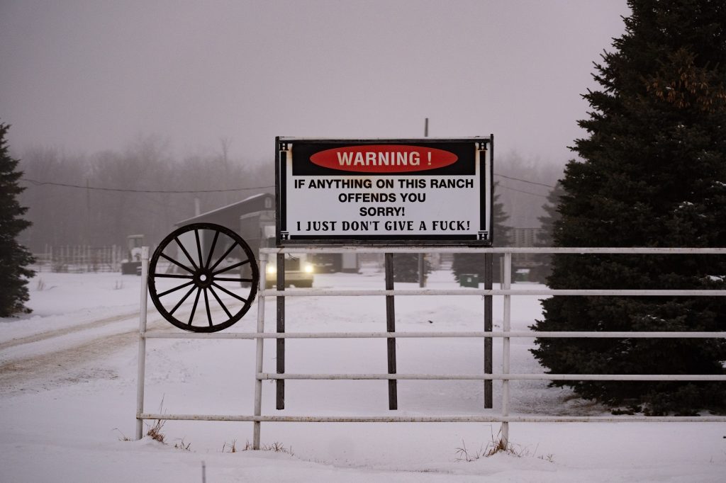 Horse feedlot near Winnipeg. Elm Creek, Manitoba | Animal Justice