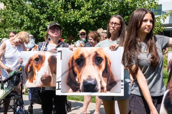 Supporters holding images of dogs used in St Joseph's Hospital animal experiments