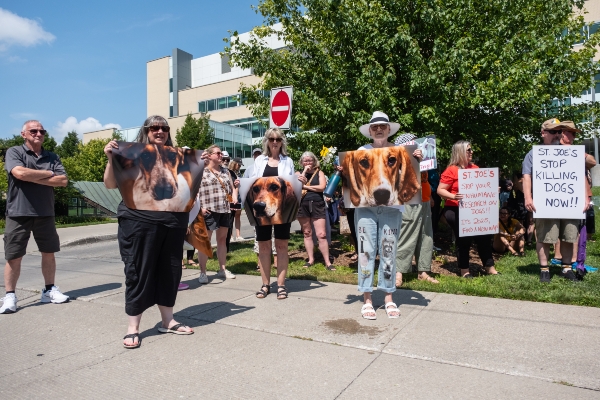 Supporters holding up signs and pictures of dogs killed at St. Joseph's Hospital