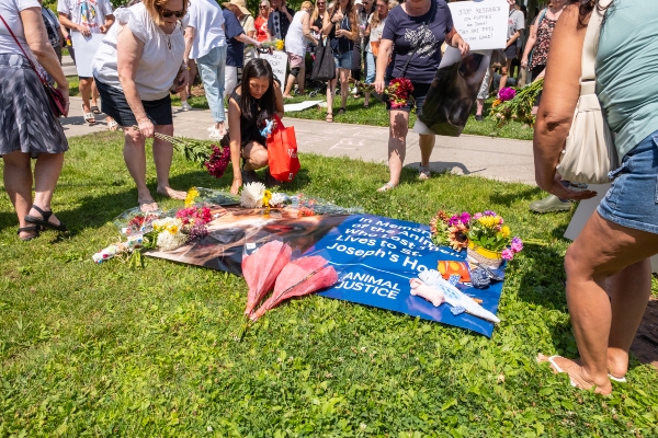 Sign and flowers in remembrance of lives lost at St Joseph's Hospital