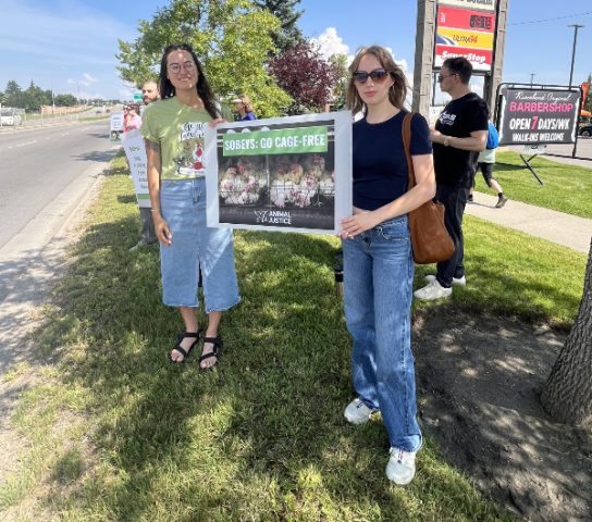 Supporters with sign "Sobeys: Go Cage-Free"