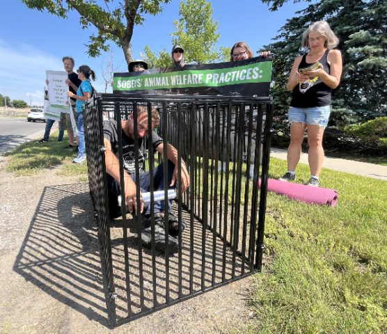 Volunteer "Braving the Cage"