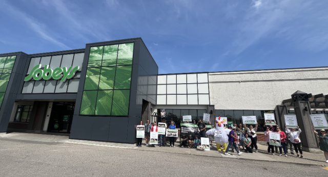 Supporters in front of Sobeys with signs