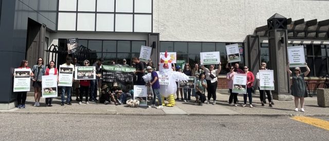 Supporters in front of Sobeys with signs
