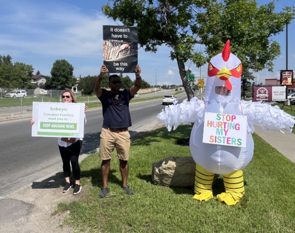 Supporters (one dressed in a hen costume) with signs