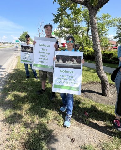 Supporters with signs, one reads: Sobeys - Keep Your Promise To Go 100% Cage Free!