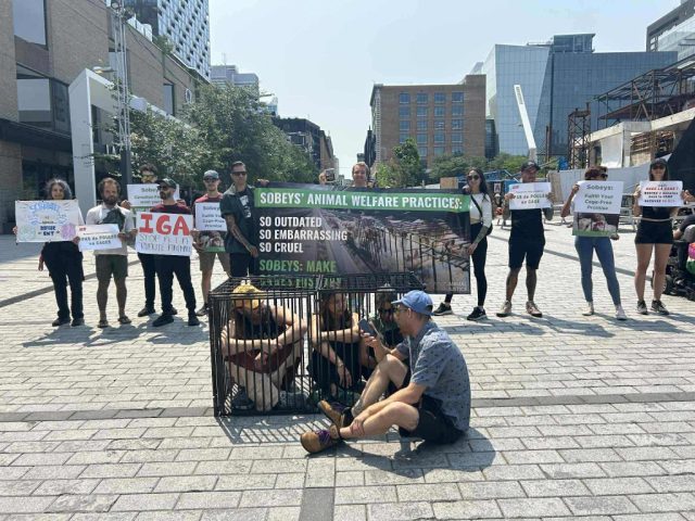 Volunteers "Braving the Cage" in front of supporters holding signs