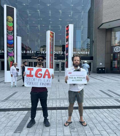 Supporters in front of IGA with signs