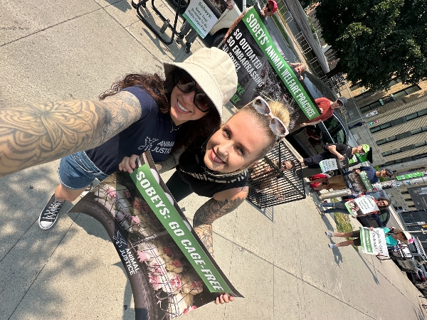 Representing Animal Justice: Shannon and Nives with sign: Sobeys: Go Cage-Free