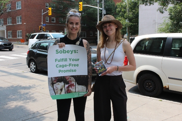 Supporters with sign "Sobeys: Fulfill Your Cage-Free Promise"