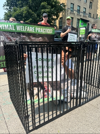 A volunteer inside a cage with a sign "Sobeys: Fulfill Your Cage-Free Promise"