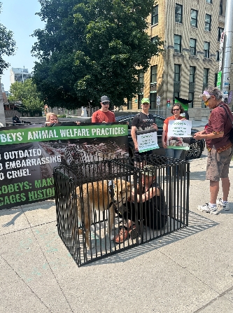 A volunteer and their dog "Braving the Cage", in front of supporters