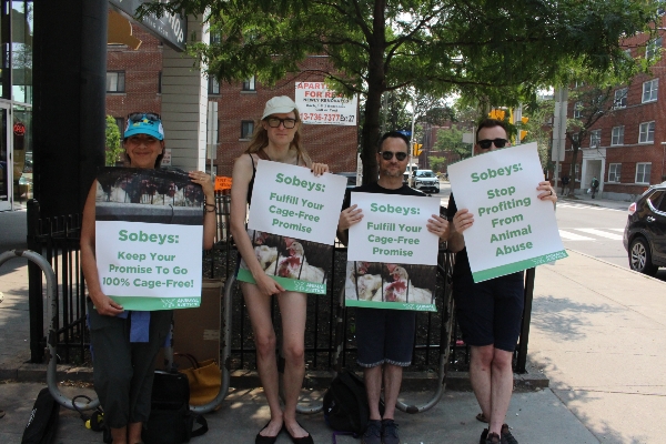 Supporters with signs in front of Sobeys
