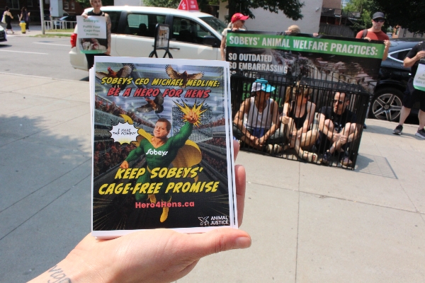 Flyer: Sobeys CEO Michael Medline: Be a Hero For Hens - Keep Sobeys' Cage-Free Promise - Hero4Hens.ca