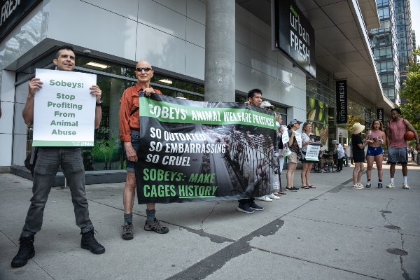 Supporters with signs in front of Sobeys
