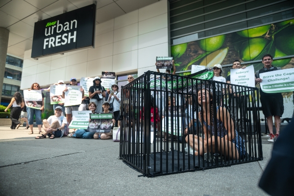 Volunteer "Braving the Cage" along with supporters holding signs in front of Sobeys