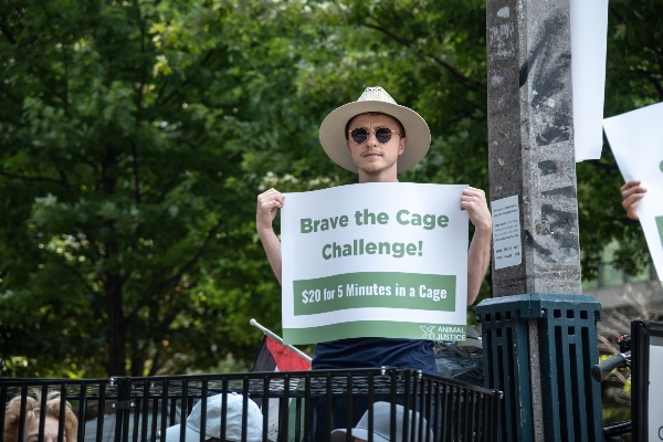 PJ Representing Animal Justice with sign "Brave the Cage Challenge! $20 for 5 Minutes in a Cage"