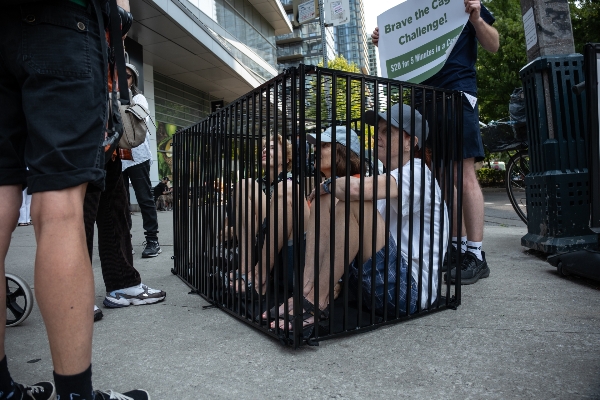 3 volunteers "Braving the Cage"