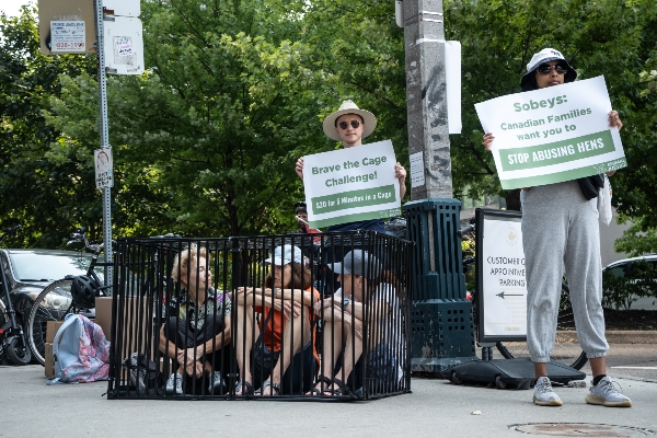 3 volunteers "Braving the Cage" with supporters holding signs