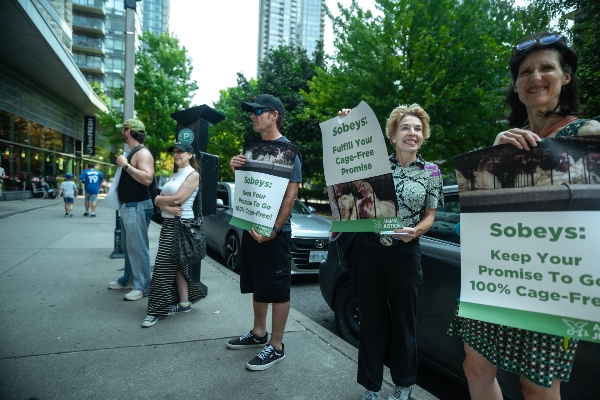 Supporters with signs "Sobeys: Keep Your Promise to Go 100% Cage-Free"