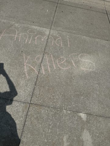 Chalk on pavement "Animal Killers"