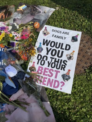 Image of flowers, toys and a that reads "Would you do this to your best friend?" at St Jospeh's Hospital Vigil