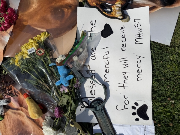 Flowers, pictures, toys and a prayer; remembering lives lost