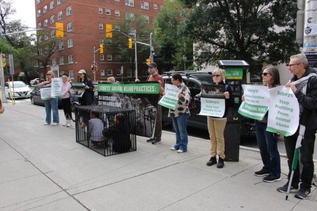Demonstrators from Animal Justice showing that Canadians don’t support Sobeys’ cage cruelty.