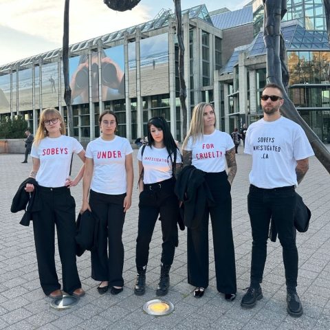 Sobeys Art Award activist disruption over cages eggs