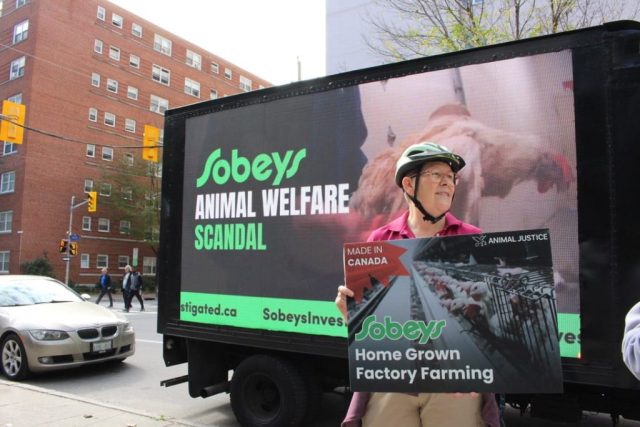 Sobeys Protest in Ottawa.