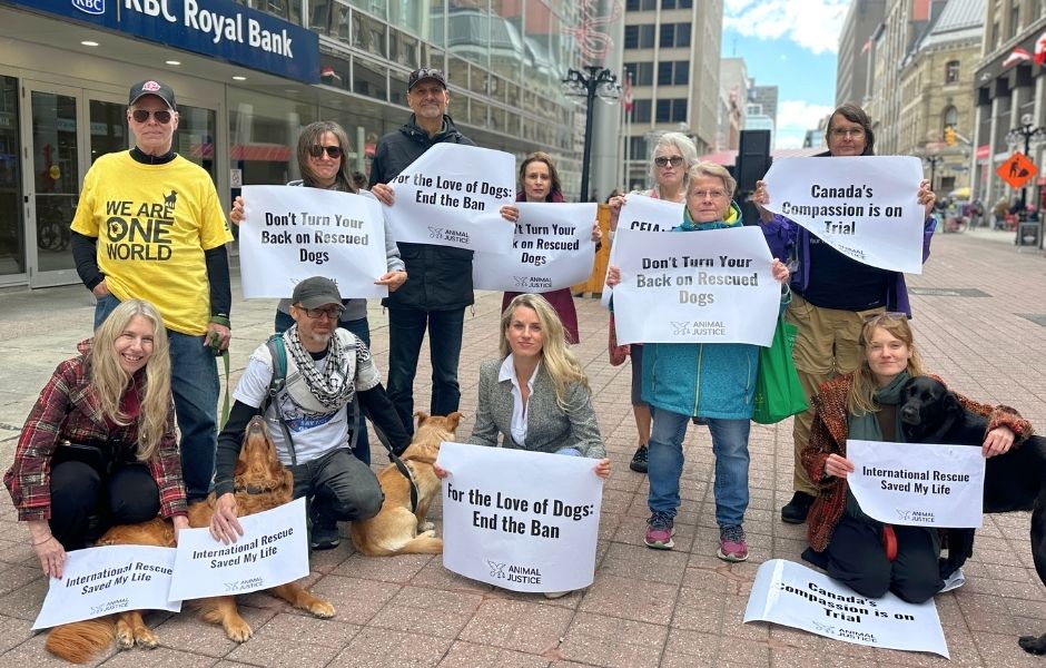 a group of supporters stand outside an Ottawa courthouse with signs against the international dog rescue ban