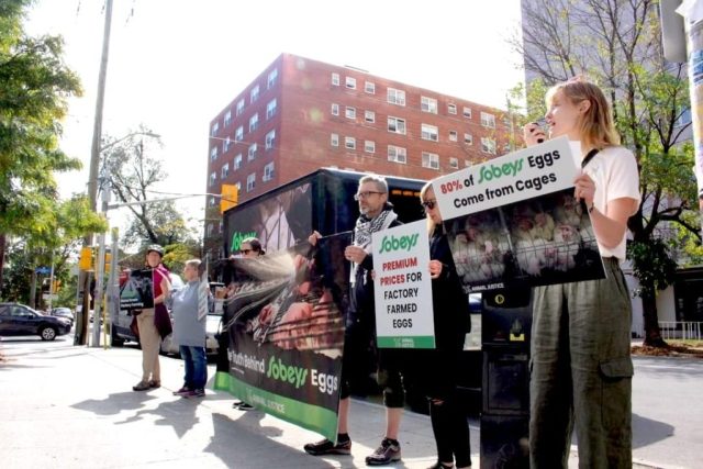 Sobeys Protest in Ottawa.