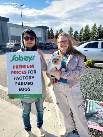 Sobeys protest in Winnipeg.