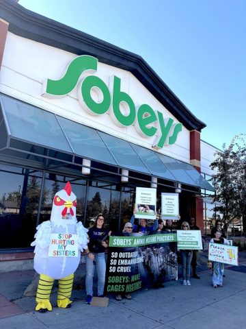 Sobeys protest in Calgary.