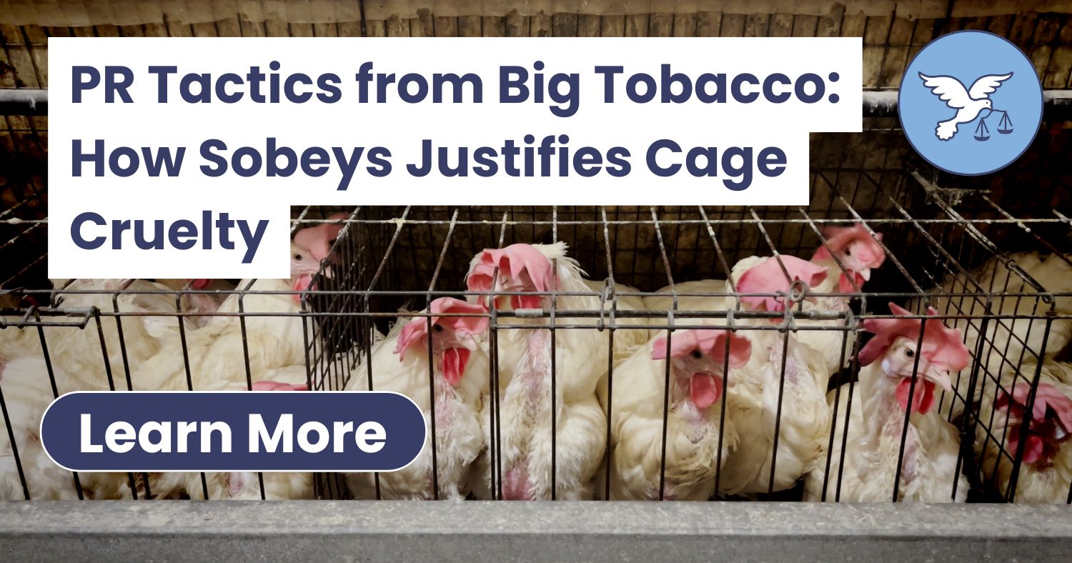 tobacco animal shelter Valley We have someone for everyone!!