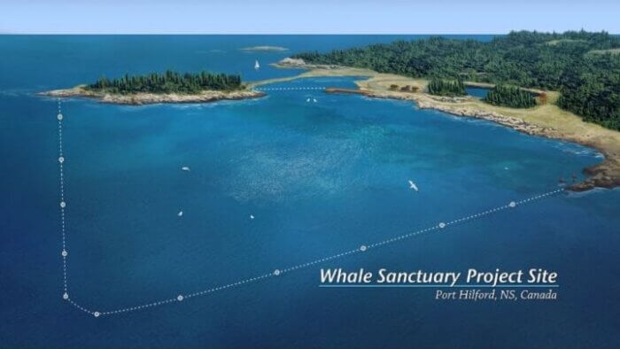 Whale Sanctuary Project site in Nova Scotia.