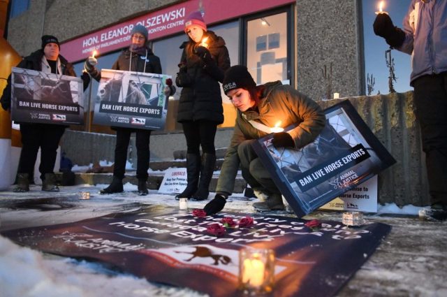 Canadian nationwide vigil for horses killed in live exports.