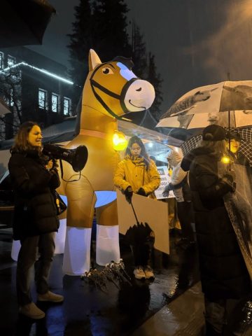 Canadian nationwide vigil for horses killed in live exports.