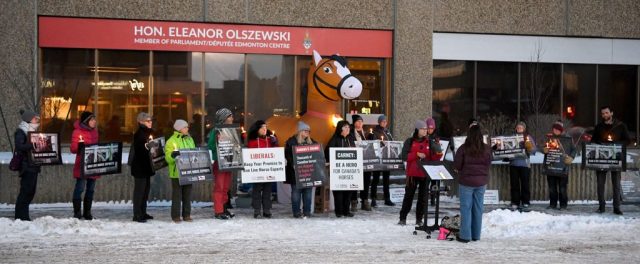 Canadian nationwide vigil for horses killed in live exports.