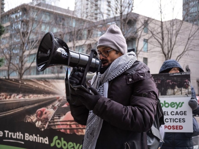 Animal Justice protesters gathered across the country with Sobeys protests, demanding cage-free action.