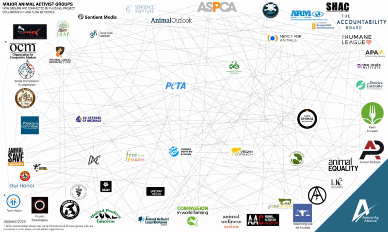 Animal Rights Surveillance: Big Ag Is Watching - Animal Justice