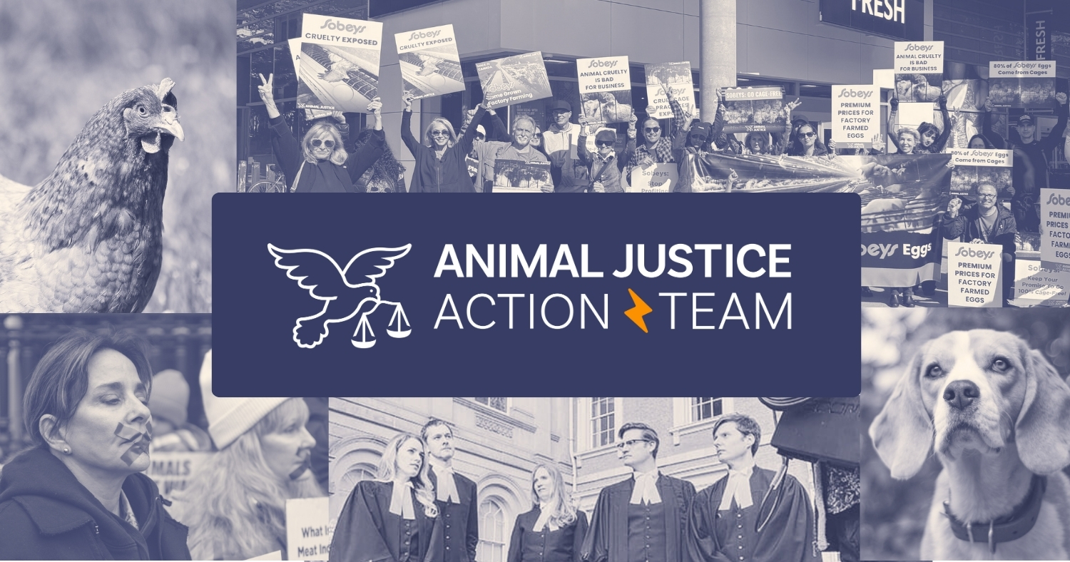 Animal Justice Action Team logo.