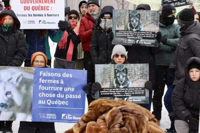 Montreal protest against fur farming in Quebec.