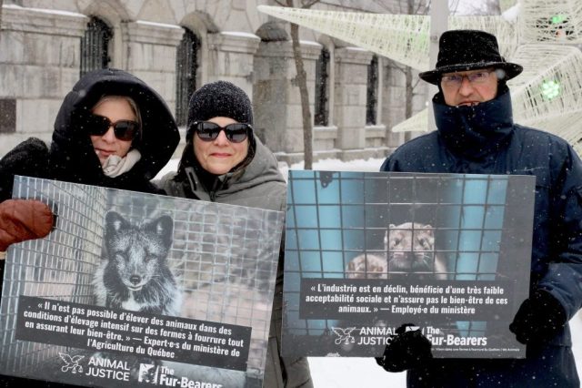 Montreal protest against fur farming in Quebec.