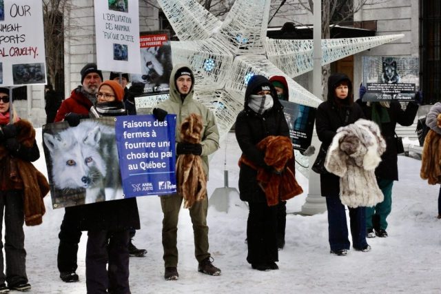 Montreal protest against fur farming in Quebec.