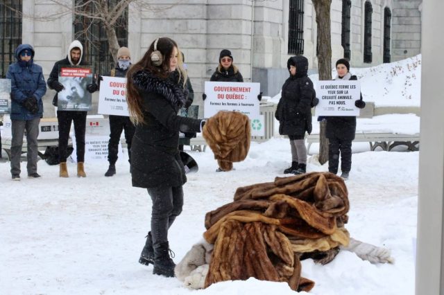 Montreal protest against fur farming in Quebec.