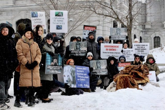 Montreal protest against fur farming in Quebec.