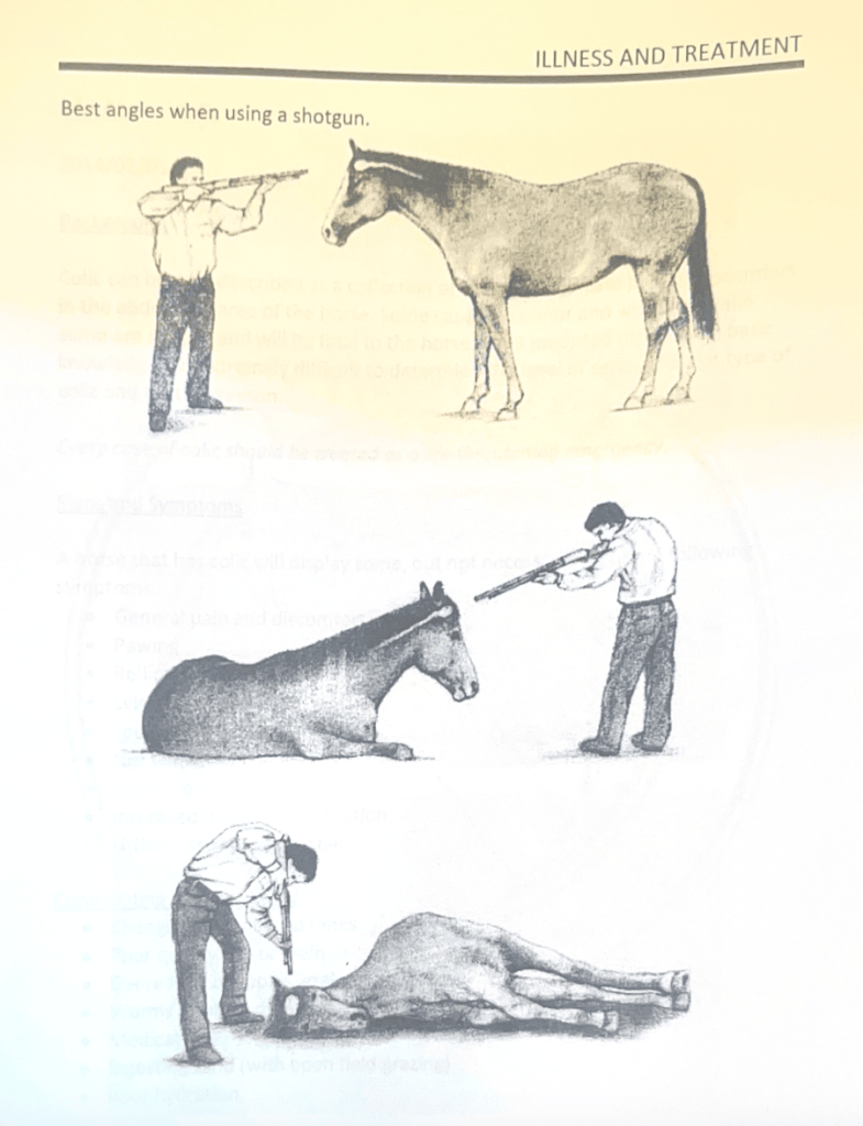 A black-and-white instructional illustration titled “Illness and Treatment” showing three diagrams of a person aiming a shotgun at a horse in different positions: first, a standing horse facing a person aiming at its head; second, a horse lying on the ground with a person aiming downward; and third, a horse lying on its side while a person stands close and points the gun at the horse’s head.